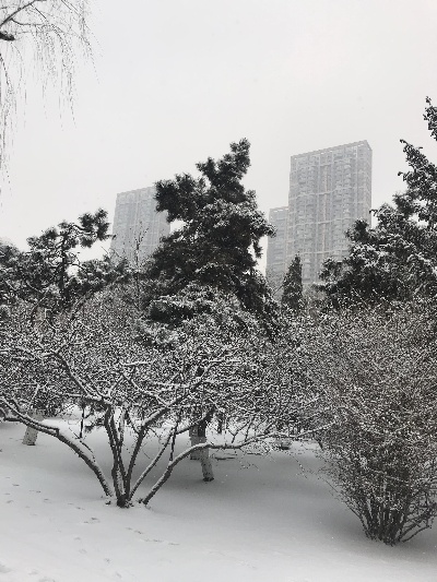 沈阳雪下的天气怎么样