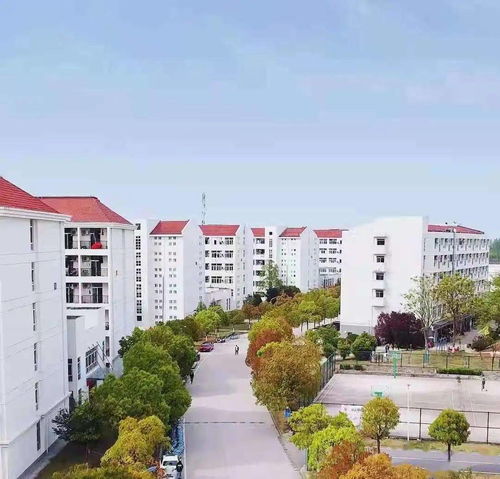 沈阳文达大学怎么样